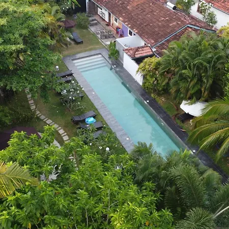 Turtle Eco Beach-3