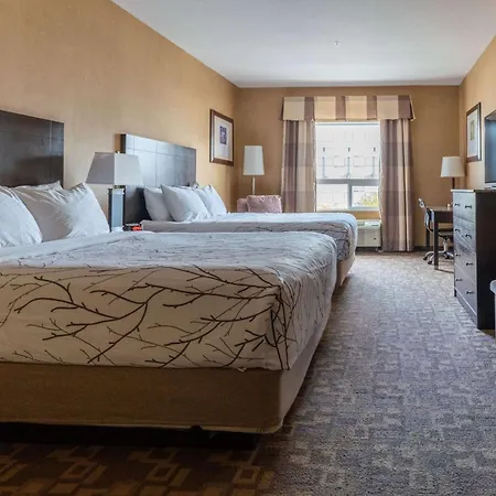 Best Western Plus South Edmonton Inn & Suites-3
