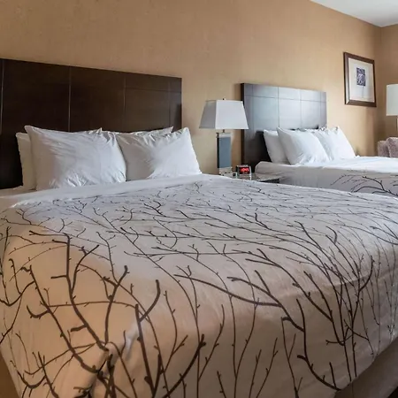 Best Western Plus South Edmonton Inn & Suites-2