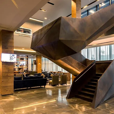 Hilton Garden Inn Aguascalientes-2
