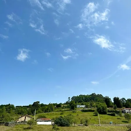 Las Palmeras-2