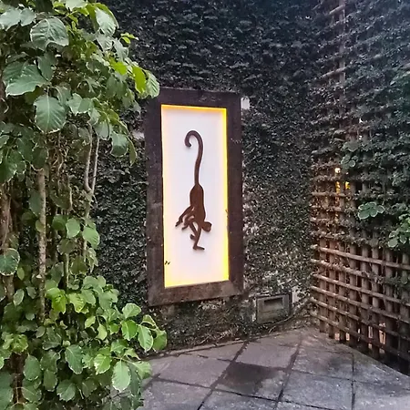 Monkey Casa Hotel-3