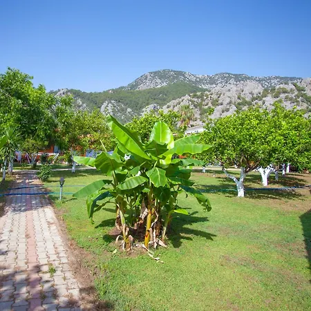 Baris Pension & Bungalows-3