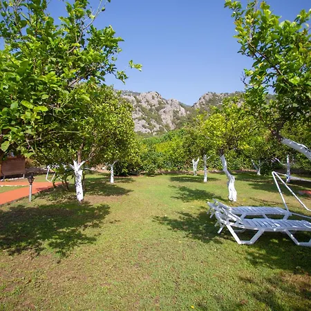 Baris Pension & Bungalows-2