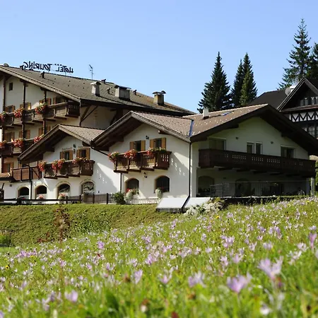 Alpine Touring Hotel-Petfriendly-2
