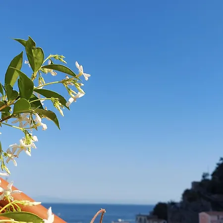 B&B Domus San Pietro-2