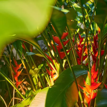 Villa Agua Y Fuego-2