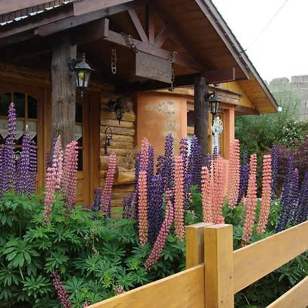 Kau Kaleshen-3