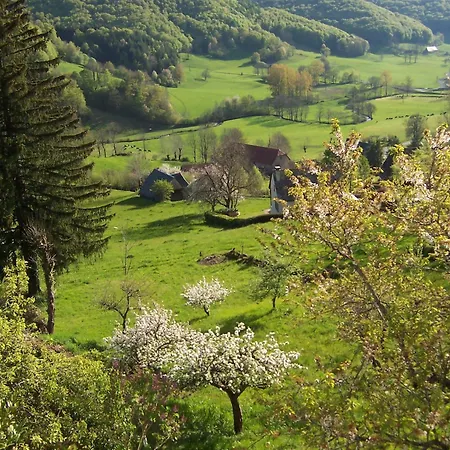 Auberge de Tournemire - Cantal-3