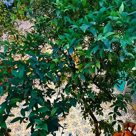 Riad Al Nour-2