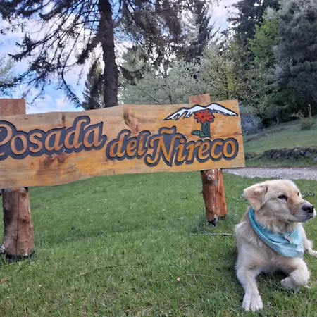 Posada del Ñireco-3
