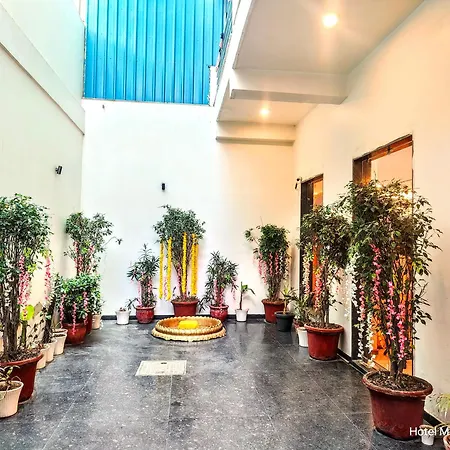 Hotel Mavens White Artemis Hospital Road Sector 52 Gurgaon-3