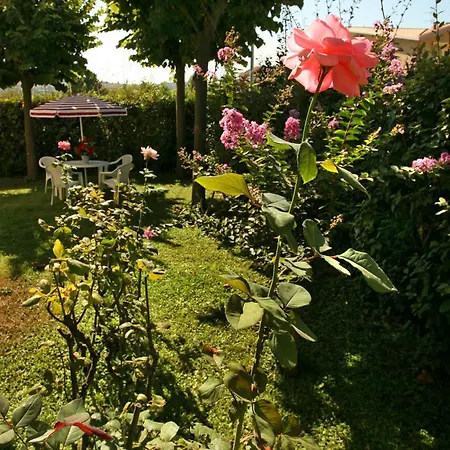 B&B Il Parco Dei Pini-3