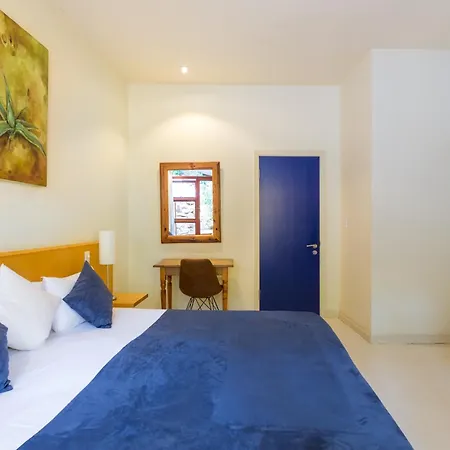Lézard Bleu Guest House-2