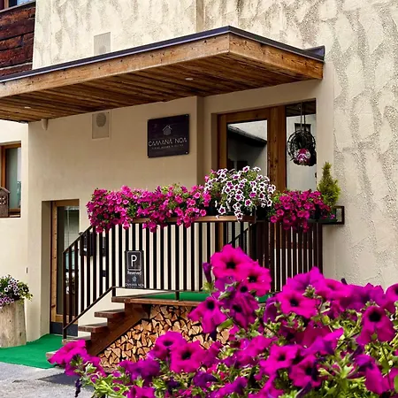 Alpine Rooms&Suites Livigno - Camana Noa --3