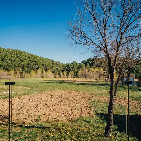 Pachán Dehesa Boyal-3