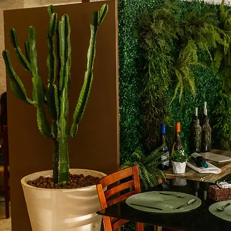 Baía Branca Porto de Galinhas-2