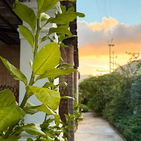 Il Cigno B&B-3
