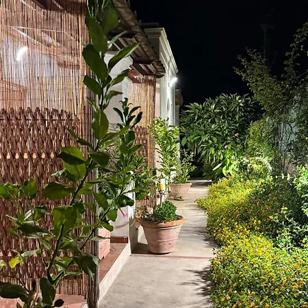 Il Cigno B&B-2