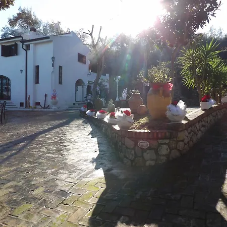 Fondazione Villa Point Onlus-2