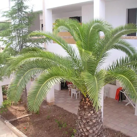 Residence Baia Del Gallo-2