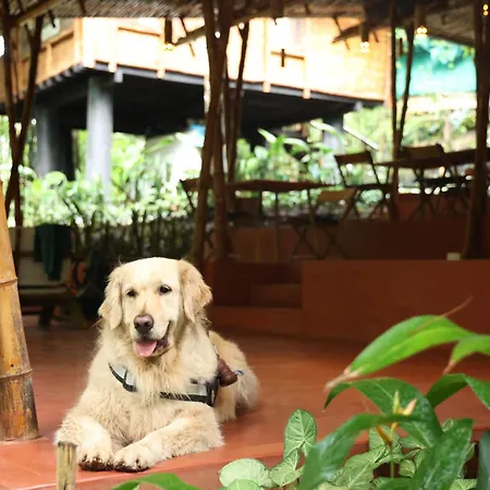 Uravu Bamboo Grove Resort-3