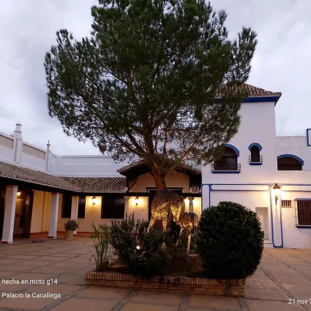Palacio de la Canaliega-2