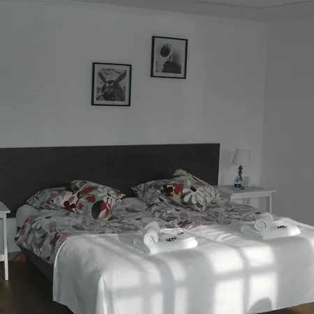 Bed&Breakfast de Vrijheid-3