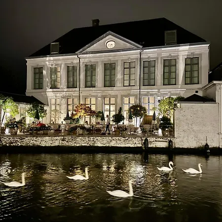 Sleeping Swan-2