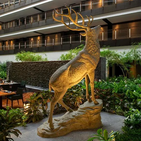The Westin Doha Hotel & Spa By Marriott-3