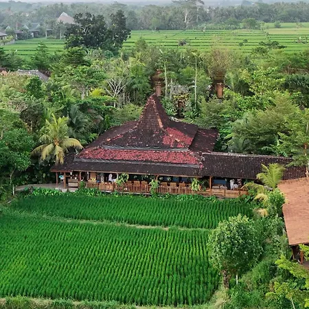Ubud Art Resort By Wedja-3