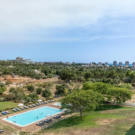 Pelican Alvor-2