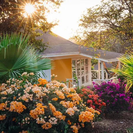 Chogogo Dive & Beach Resort Curacao-3