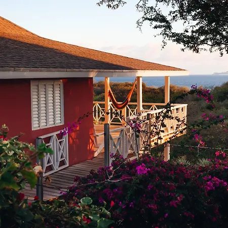 Chogogo Dive & Beach Resort Curacao-2