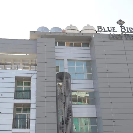Blue Birds International Hotel-3