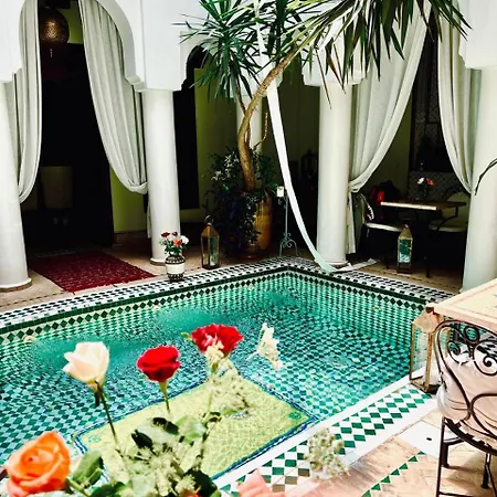 Riad Alida-3