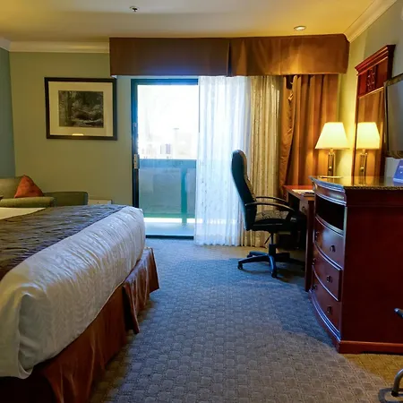 Best Western Plus Forest Park Inn-2