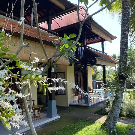 Atres Villa-3