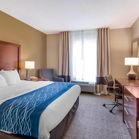 Comfort Inn & Suites Lynchburg Airport - University Area-3