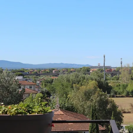 Pisa dall'alto-3