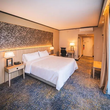 Holiday Inn Rosario By Ihg-2