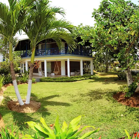 Negril Treehouse Resort-3