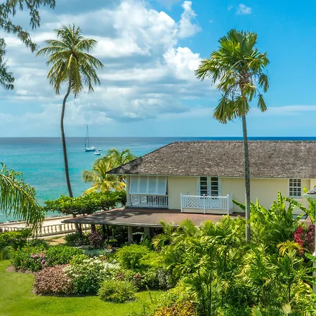 Coral Reef Club-3