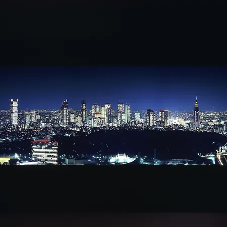Cerulean Tower Tokyu Hotel, A Pan Pacific Partner Hotel-2
