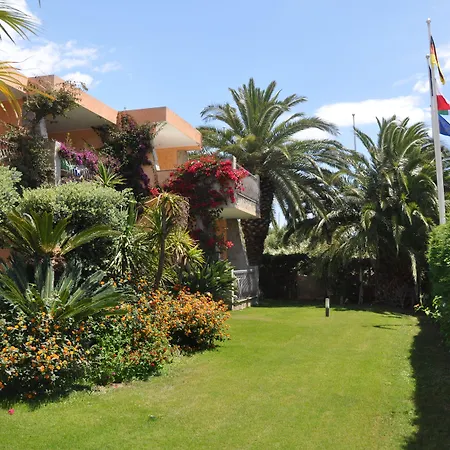 Palm Village-3