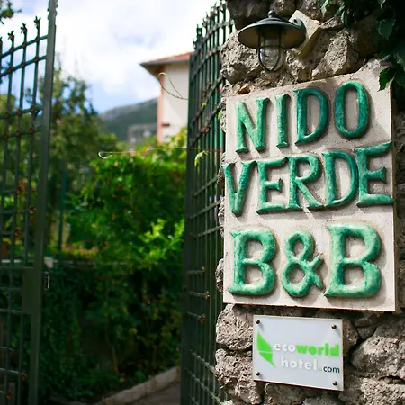 Nido Verde-3