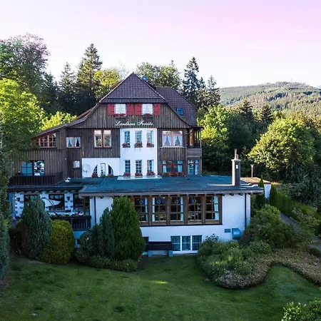 Landhotel Villa Foresta Braunlage-3