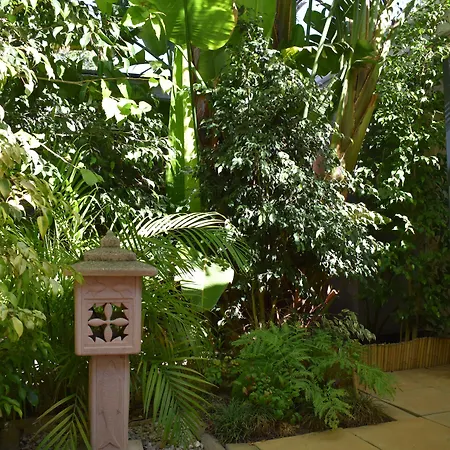 Paradiso Guesthouse & Self-Catering Cottage-3
