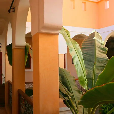 Riad Sidi Mimoune & Spa-3