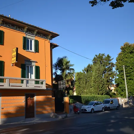 B&B Alma-2